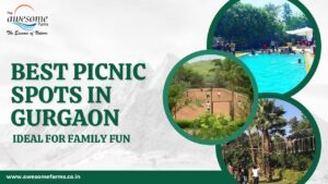 Picnic Spots in Gurgaon